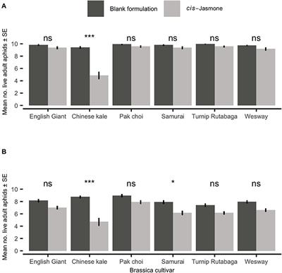 Effects of cis-Jasmone Treatment of Brassicas on Interactions With Myzus persicae Aphids and Their Parasitoid Diaeretiella rapae